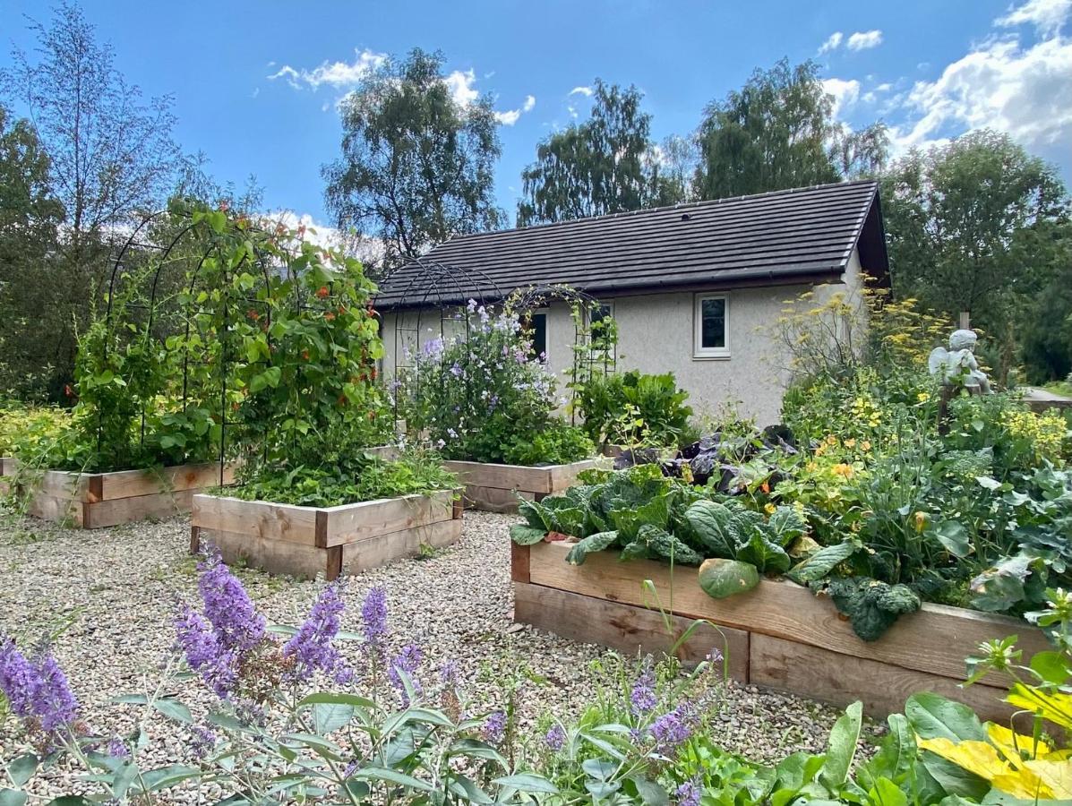 Homestead Cottage, ฟอร์ตออกัสตัส ภายนอก รูปภาพ
