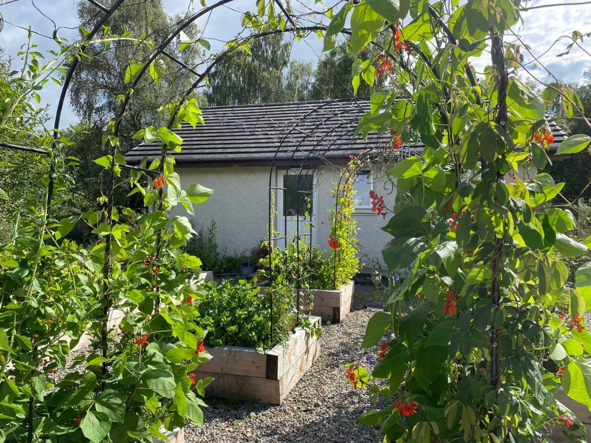 Homestead Cottage, ฟอร์ตออกัสตัส ภายนอก รูปภาพ